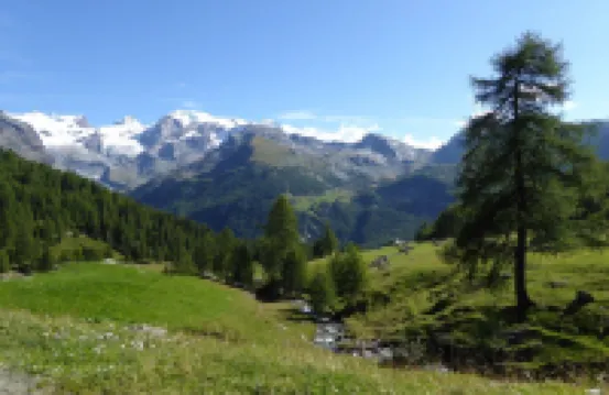 Family Apartments le Chalet