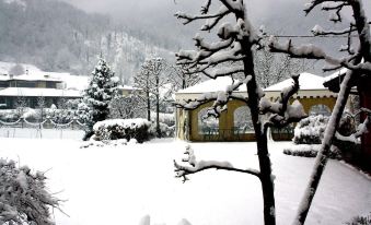 Hotel Al Poggio Verde