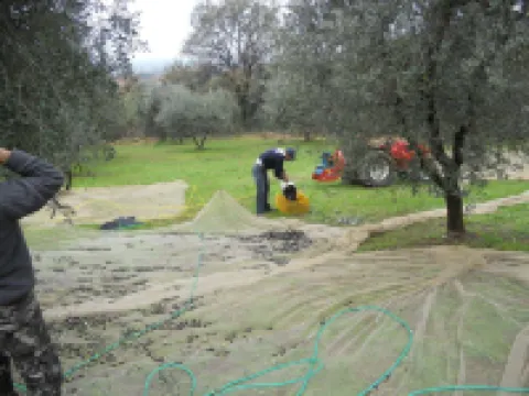 農場 - 科里納託斯卡納度假酒店