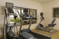 Holiday Inn Express & Suites Greenville by IHG - Gym