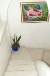 Casa del Sol