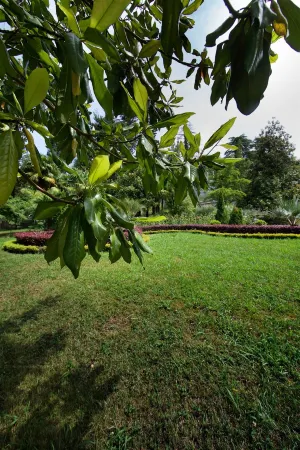 Alean Family Sputnik Hotel