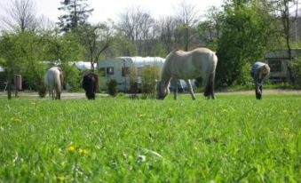 Boeslunde Camping