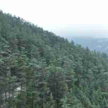 Vipul Home Stay Others