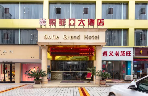 務川索菲亞大酒店