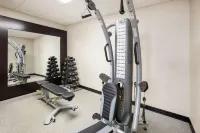 La Quinta Inn & Suites by Wyndham Cincinnati Airpt Florence - ジム
