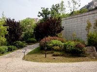 青岛海尔山庄 - 花园