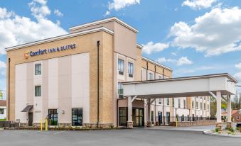 Comfort Inn & Suites Schenectady - Scotia