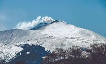 a snow - covered mountain with a plume of smoke rising from the top , surrounded by trees at Etna Hotel