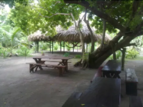 Eco Hotel Las Palmeras