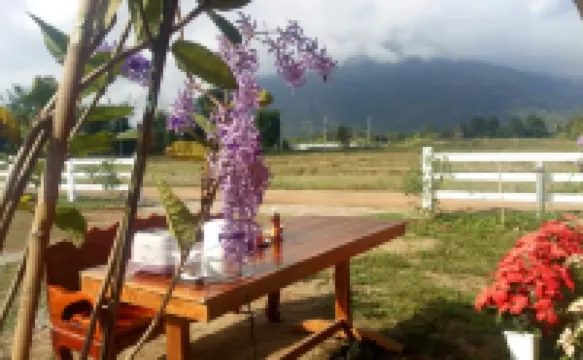 Ban Thung Talay Mok Chiangdao