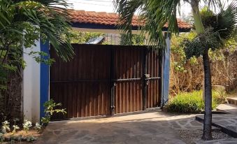 a driveway with a blue garage door and wooden gate , surrounded by palm trees and a house at Blue Rooms