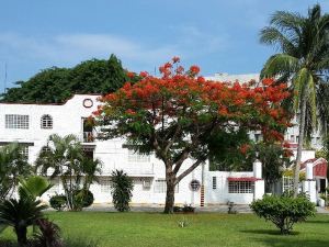 Hotel Olinala Diamante