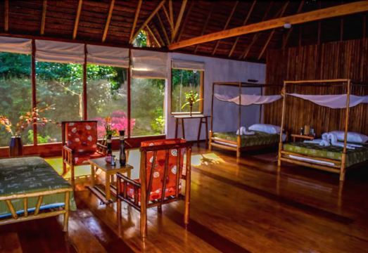 Lakshmi Ecolodge and Holistic Spa - Housity