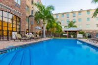 Staybridge Suites Mcallen Hotels in Mcallen