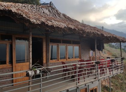 Thanh Homestay