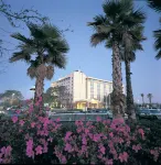 Embassy Suites by Hilton Tampa USF Near Busch Gardens