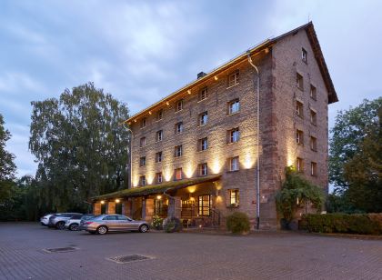 Hôtel-Spa le Moulin de La Wantzenau - Strasbourg Nord