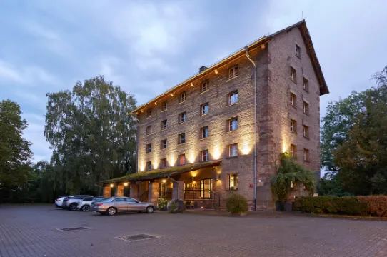 Hôtel-Spa le Moulin de La Wantzenau - Strasbourg Nord
