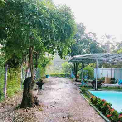 Ningman Road Garden Pool Villa has the tree house Fitness & Recreational Facilities