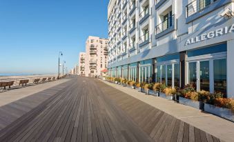 a wooden boardwalk with potted plants and buildings in the background , under a clear blue sky at Allegria Hotel