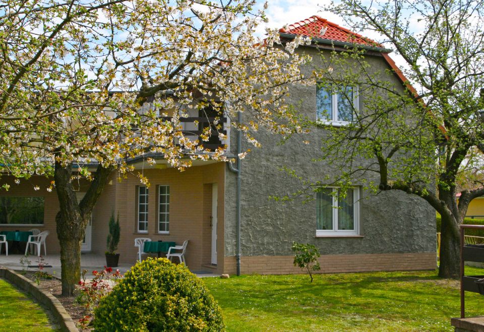 a large house surrounded by trees and bushes , with a tree in front of it at Zerna