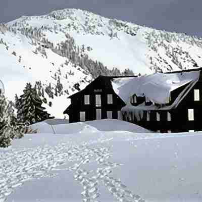 Best Western Plus Olympic Inn Hotel Exterior