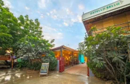 Ostello Bello Bagan Pool Hoteles en 