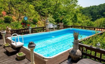 Gapyeong White Pool Villa Pension