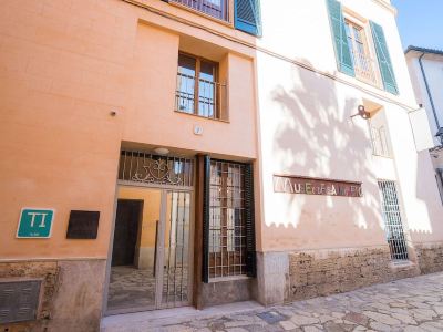 Vintage Palma Palace Ti 200