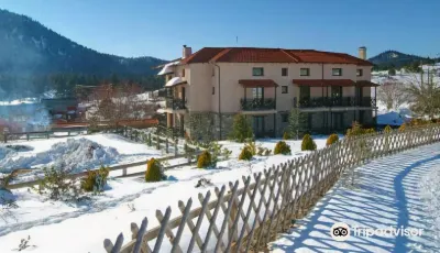 Boutique Hotel Skamnos Arachova Hotel a 