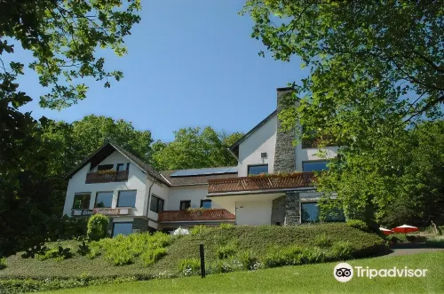 Pension Haus Diefenbach Hotels in Heimbach