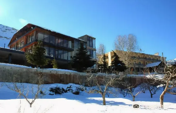 埃登 - 大師酒店