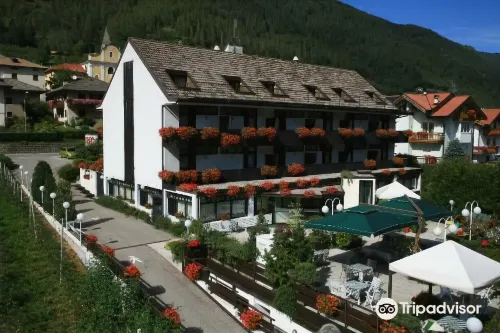 Pippo Hotel Hotels in Terzolas