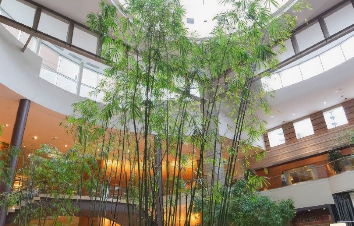 Hyatt Regency Bellevue