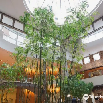 Hyatt Regency Bellevue