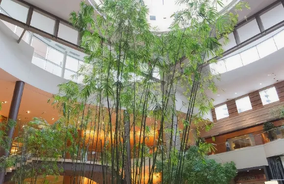 貝爾維尤凱悦酒店