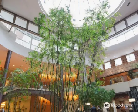 Hyatt Regency Bellevue Hotels in King County