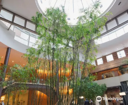 Hyatt Regency Bellevue