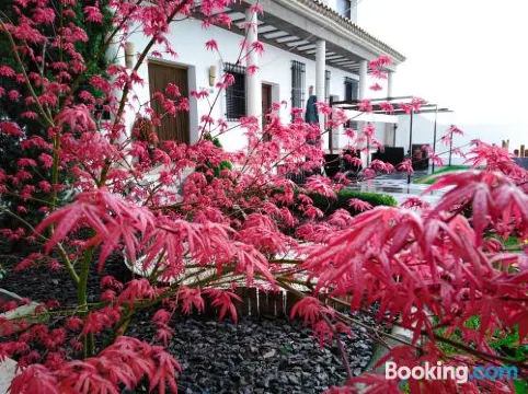 Las Magnolias Lofts - Housity