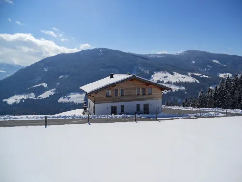 Auer