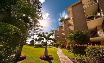 Kauhale Makai 506 - One Bedroom Condo with Ocean View