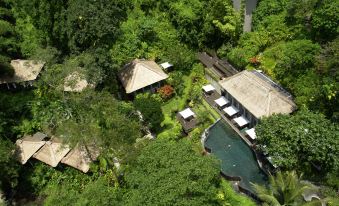 Maya Ubud Resort & Spa