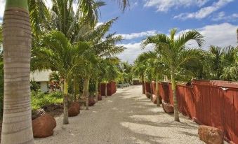 GT - Rarotonga Fishing Lodge