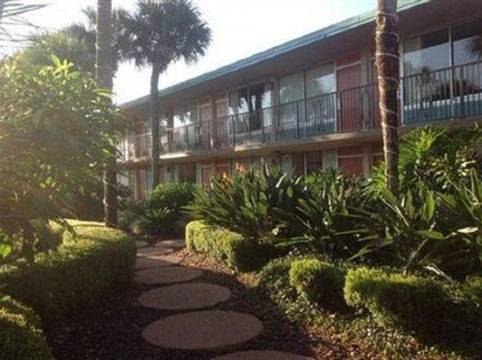 The Suites At Magic Tree Kissimmee Updated 22 Room Price Reviews Deals Trip Com The Suites At Magic Tree Kissimmee Updated 22 Room Price Reviews Deals Trip Com