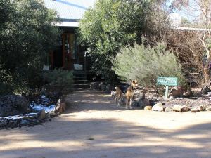 Girraween Environmental Lodge