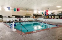 Ramada by Wyndham Odessa Near University of Texas Permian - Pools