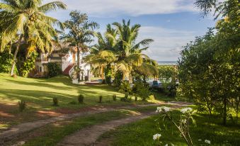 a lush green lawn with palm trees and a pathway leading to a white house , situated near a body of water at Over the Hill