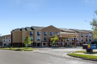 Comfort Inn & Suites Norman Near University Hotel di Newcastle