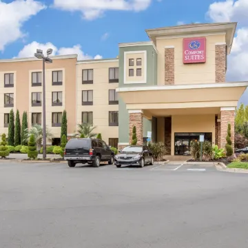 Comfort Suites Locust Grove Atlanta South